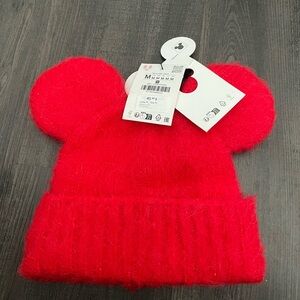 NWT Zara Alpaca (50%) Hat